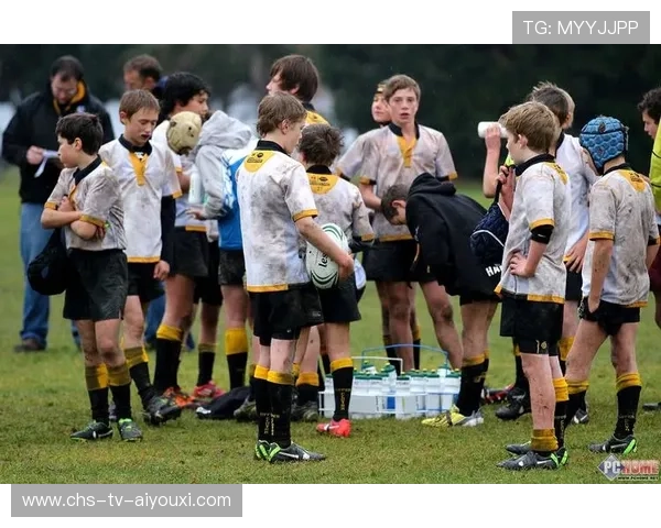 新西兰七人制橄榄球整体配合默契度高，新西兰橄榄球队服